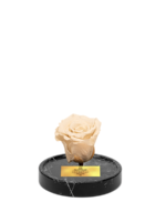 Cam Fanusta Beyaz XL Solmayan Gül (BM-1)