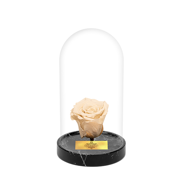 Cam Fanusta Beyaz XL Solmayan Gül (BM-1)