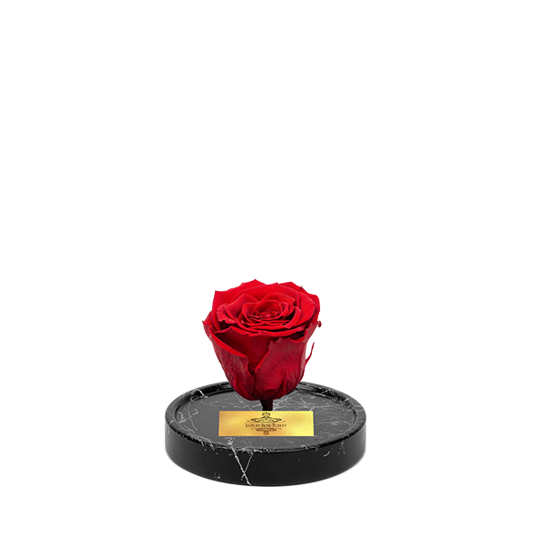 Cam Fanusta Kırmızı XL Solmayan Gül (BM-1)