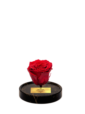 cam-fanusta-kirmizi-xl-solmayan-gul-gm-1-2