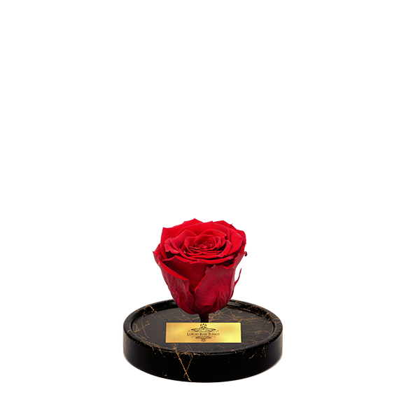 Cam Fanusta Kırmızı XL Solmayan Gül (GM-1)