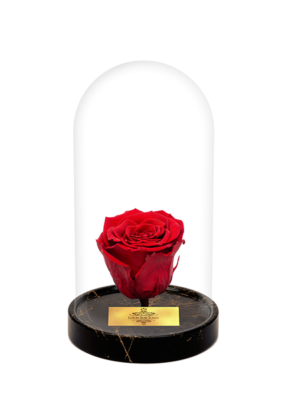 Cam Fanusta Kırmızı XL Solmayan Gül (GM-1)