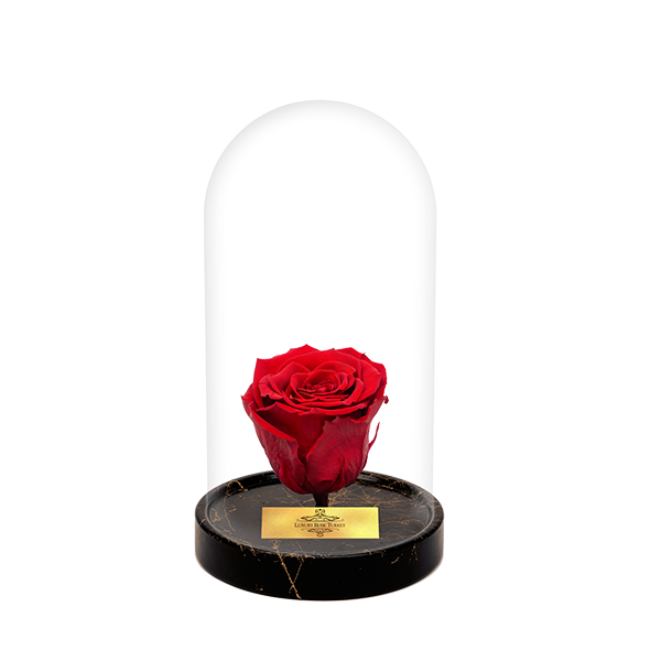 Cam Fanusta Kırmızı XL Solmayan Gül (GM-1)