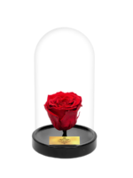 Cam Fanusta Kırmızı XL Solmayan Gül (S-1)