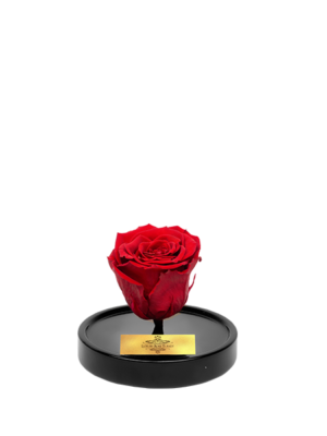 cam-fanusta-kirmizi-xl-solmayan-gul-s-1-2