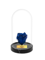 Cam Fanusta Mavi XL Solmayan Gül (BM-1)