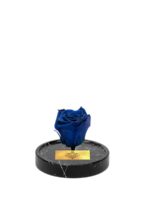 Cam Fanusta Mavi XL Solmayan Gül (BM-1)