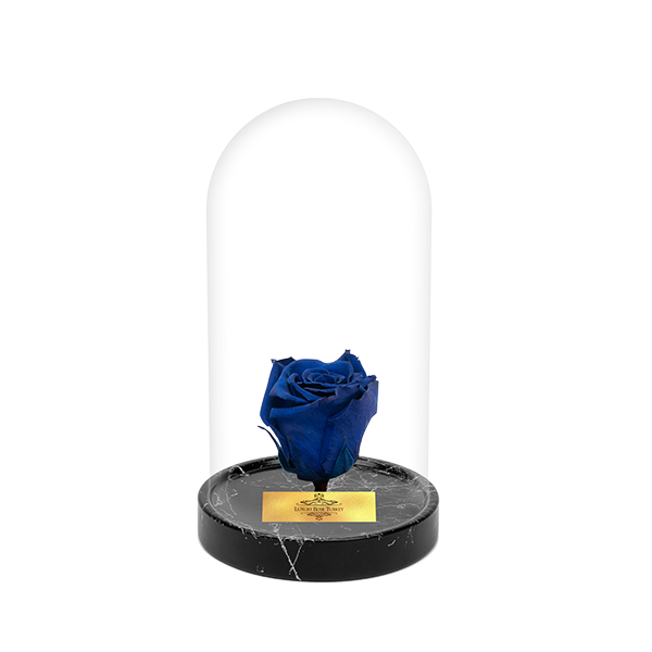 Cam Fanusta Mavi XL Solmayan Gül (BM-1)