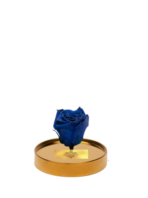 cam-fanusta-mavi-xl-solmayan-gul-g-1-2