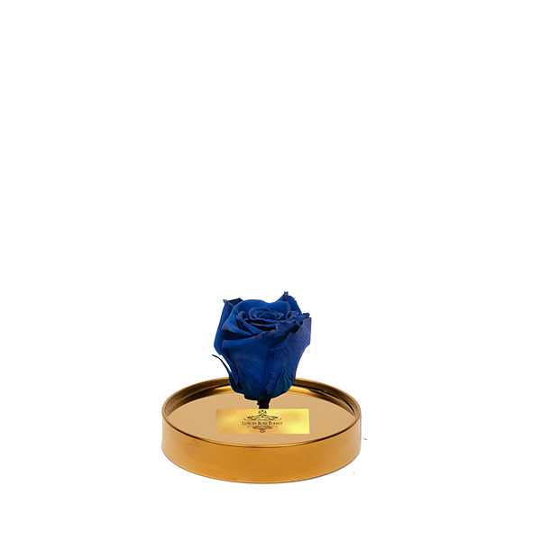 Cam Fanusta Mavi XL Solmayan Gül (G-1)