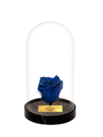 Cam Fanusta Mavi XL Solmayan Gül (GM-1)