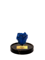 Cam Fanusta Mavi XL Solmayan Gül (GM-1)