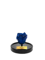 Cam Fanusta Mavi XL Solmayan Gül (S-1)