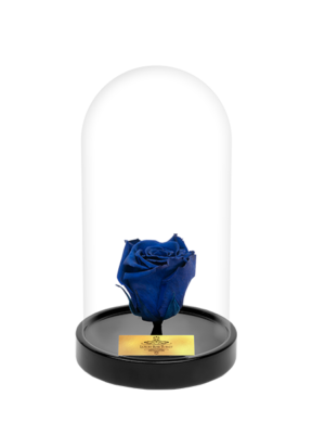 Cam Fanusta Mavi XL Solmayan Gül (S-1)