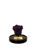 Cam Fanusta Mor XL Solmayan Gül (GM-1)