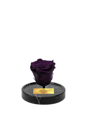 cam-fanusta-mor-xl-solmayan-gul-bm-1-2