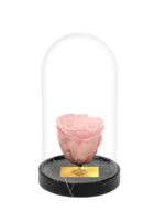 Cam Fanusta Pembe XL Solmayan Gül (BM-1)