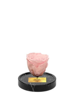 cam-fanusta-pembe-xl-solmayan-gul-bm-1-2