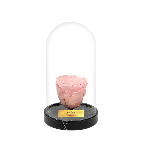 Cam Fanusta Pembe XL Solmayan Gül (BM-1)