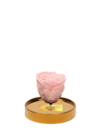 Cam Fanusta Pembe XL Solmayan Gül (G-1)