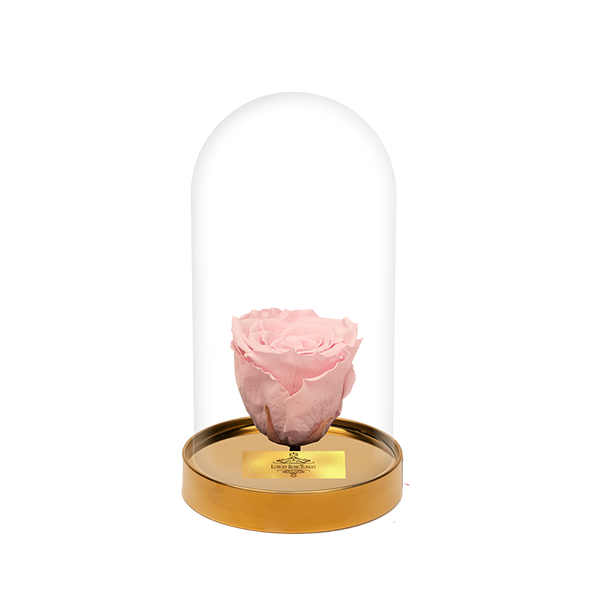 Cam Fanusta Pembe XL Solmayan Gül (G-1)