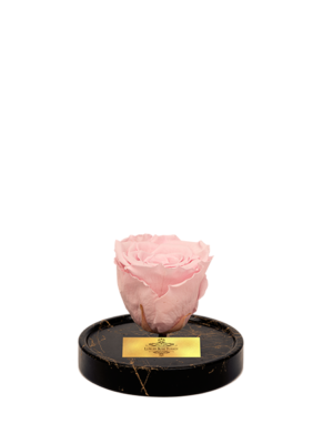 cam-fanusta-pembe-xl-solmayan-gul-gm-1-2