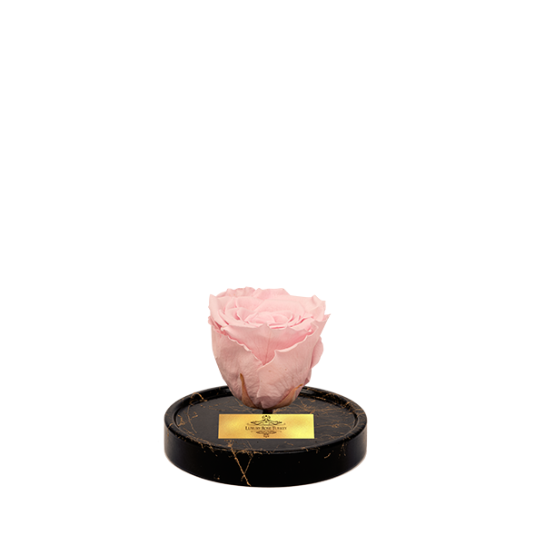 Cam Fanusta Pembe XL Solmayan Gül (GM-1)