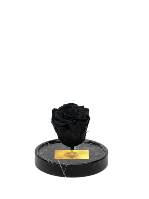 cam-fanusta-siyah-xl-solmayan-gul-bm-1-2