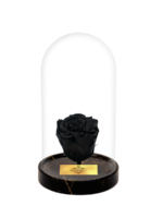 Cam Fanusta Siyah XL Solmayan Gül (GM-1)