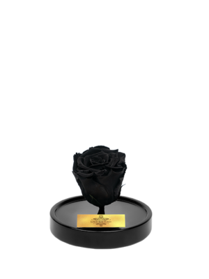 cam-fanusta-siyah-xl-solmayan-gul-s-1-2