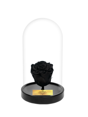 Cam Fanusta Siyah XL Solmayan Gül (S-1)