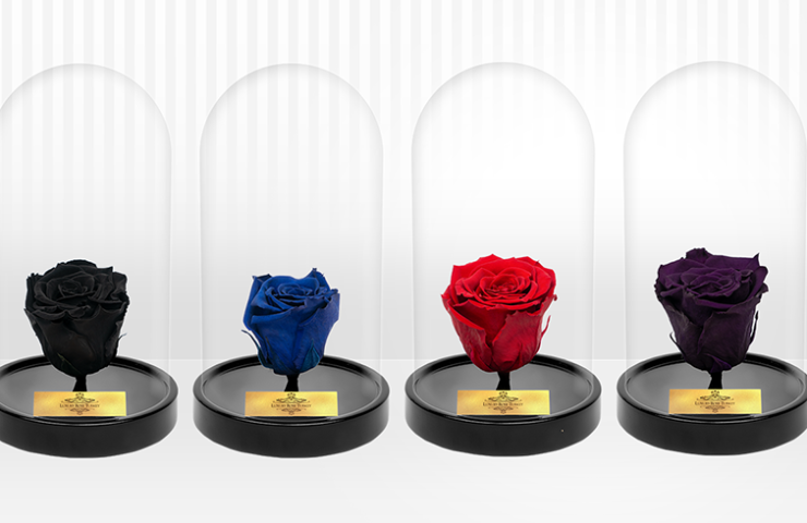 luxury-rose-turkey-home2