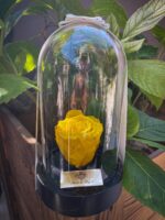 Cam Fanusta Sarı XL Solmayan Gül (GM-1)