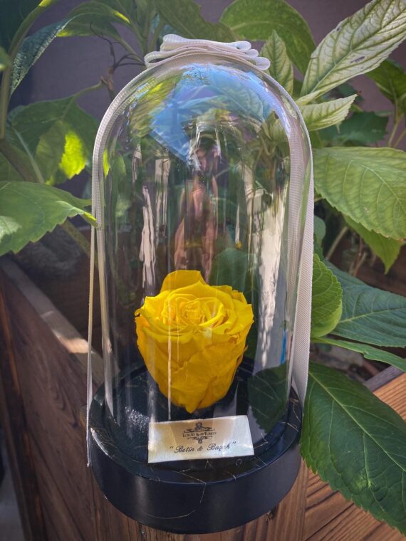 Cam Fanusta Sarı XL Solmayan Gül (GM-1)