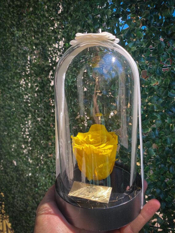 Cam Fanusta Sarı XL Solmayan Gül (GM-1)