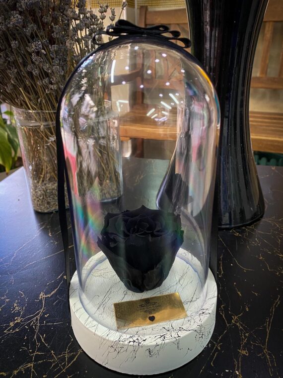 Cam Fanusta Siyah XL Solmayan Gül (BSM-1)