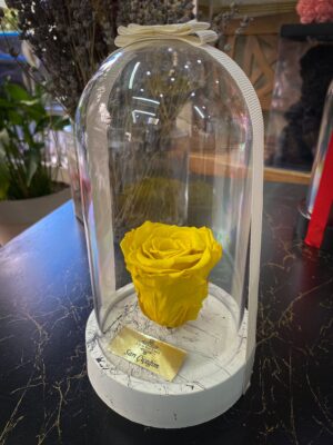 Cam Fanusta Sarı XL Solmayan Gül (BSM-1)