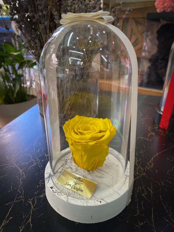 Cam Fanusta Sarı XL Solmayan Gül (BSM-1)