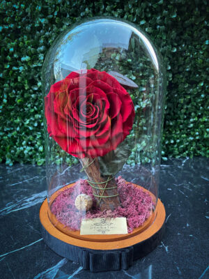 Cam Fanusta Bordo XXL Solmayan Gül (XXL-1)